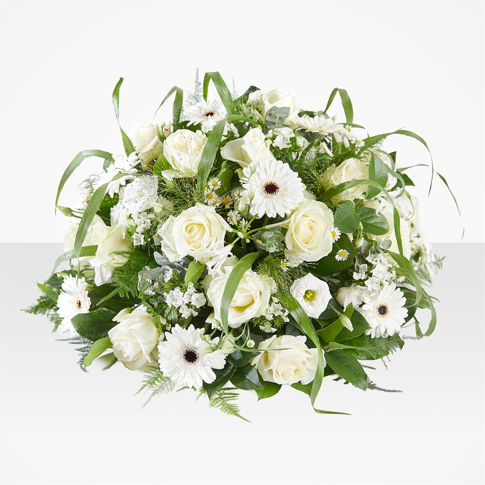 Bescheiden